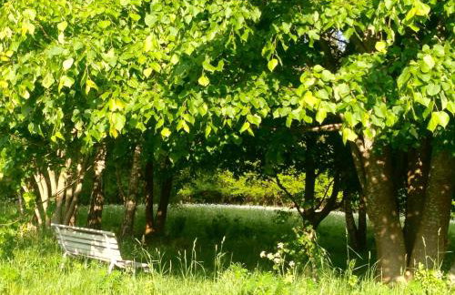 Butterfly Factory - Foto 51