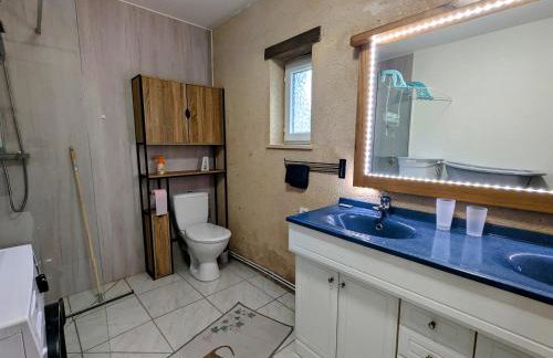 Gîte en Berry: terrasse couverte, ping-pong, près Zoo de Beauval et Château de Valençay - FR-1-591-618 - Foto 17