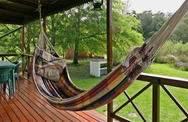 Forest Edge - Foto 32