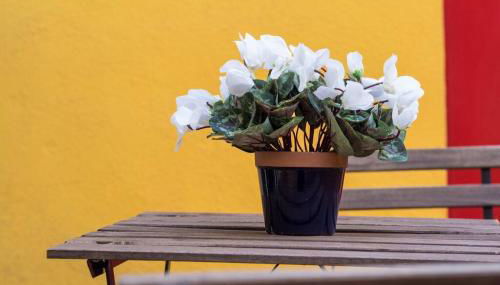 FANTASTIC apartment in Barcelona - Foto 4