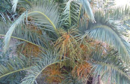 Beach Apartment Bacvice - Foto 37