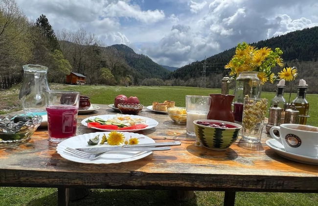 Farma Sotira - Foto 37