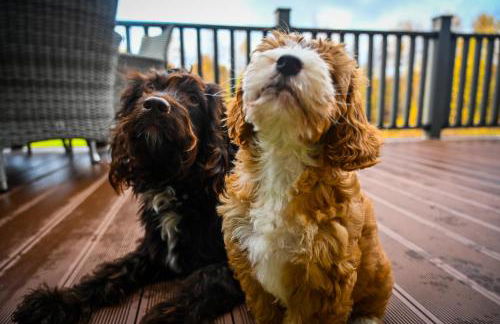 Newmore Highland Pods with Hot Tubs on NC500 - Foto 19