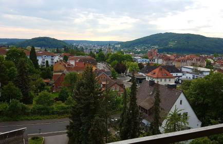 1,5 Zimmer Apartments mit traumhafter Aussicht - Foto 25