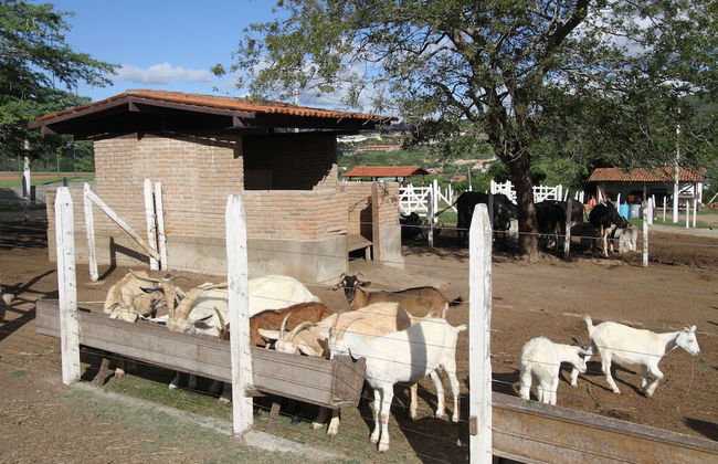 Hotel Portal de Gravatá - Foto 14