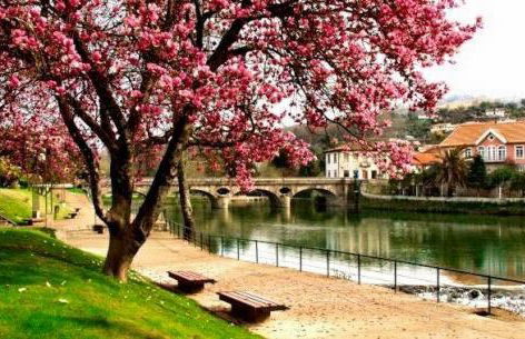 Quinta da Aranha - Foto 59