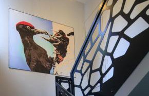 12 Jabłek - ośrodek wypoczynkowy na Mazurach - Foto 27