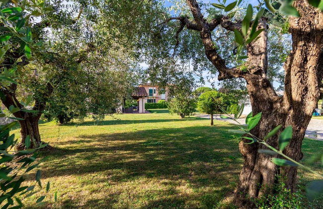 Nonna Bianca Farmhouse - Foto 6