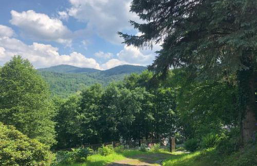 Domek u Bociana - Foto 10