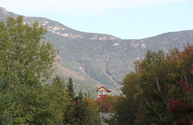 Black Bear Lodge - Foto 53