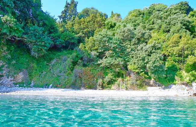 Thalia Estate - Foto 22