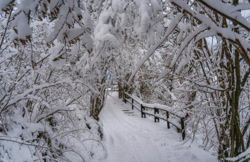 Domek LUNA - Foto 34