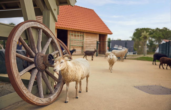 Center Parcs Zandvoort Beach - Foto 74