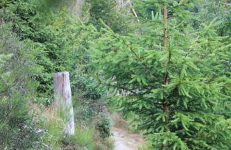 Ferienhaus Däschinger Das Zweiradparadies - Foto 56