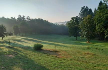 Forsthaus Hausbach - Ferienwohnung Hirsch - Foto 23