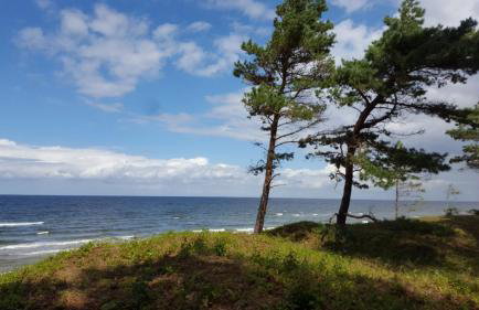Wiselka Holiday House-1,2km to the beach; 5 bedrooms, 3 bahrooms; fire place. Private sauna! - Foto 35