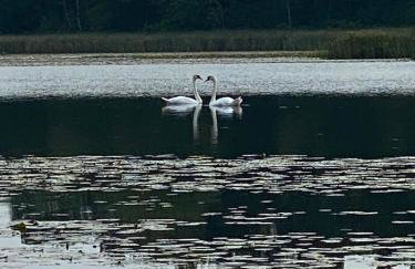 Lake Life - Peaceful and Quiet - Foto 3