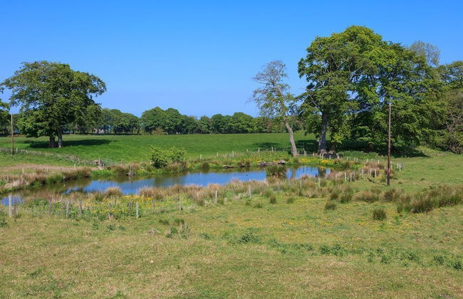 Williamscraig Holiday Cottages - Photo 43