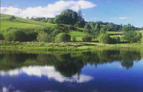 Wild Nurture Eco Luxury Offgrid Log Cabin - Foto 39