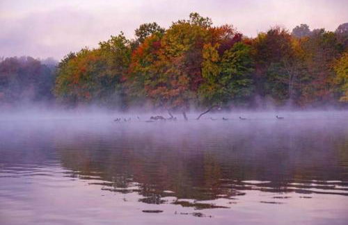 Susu's-I-Luxurious 2 Bedroom 2 Bath Apartment - Foto 49