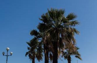 Appartement 3 PIECES NICE Promenade - Foto 7