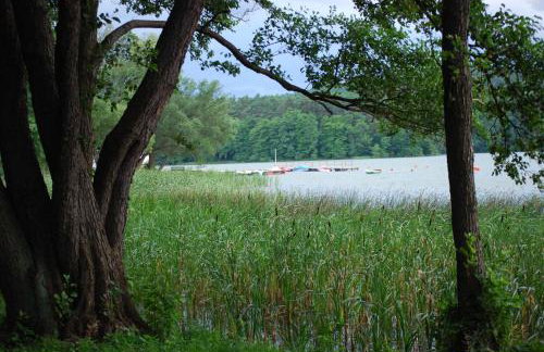 Ośrodek Wypoczynkowy Laguna - Foto 17