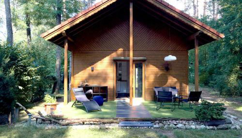 Wald und Wohlsein - Foto 2