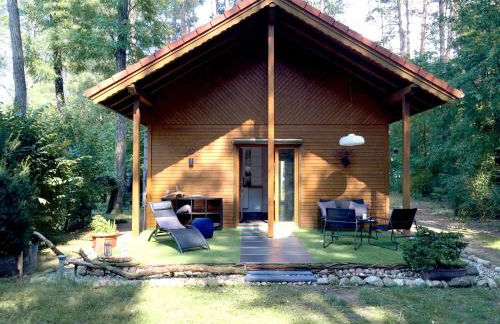 Wald und Wohlsein - Foto 2