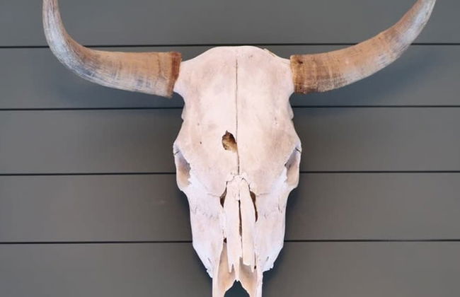 Grand Canyon Adventure Base 4BR Home With Games - Foto 32