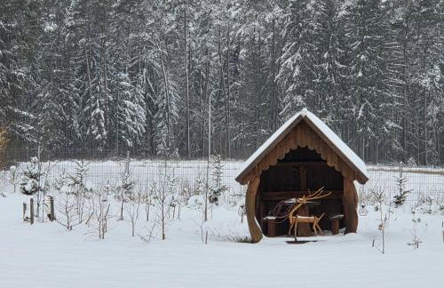 Agrosturystyka Leśna 21 - Foto 3