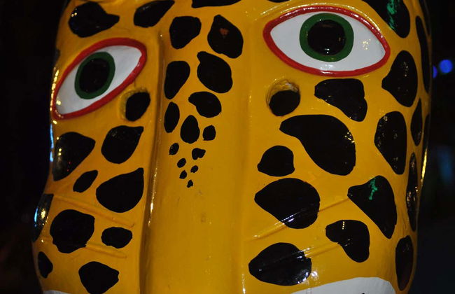 Barranquilla Museums Guided Tour - Foto 4