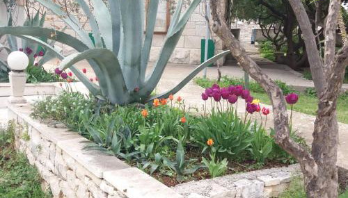 Apartments Franka - Photo 2