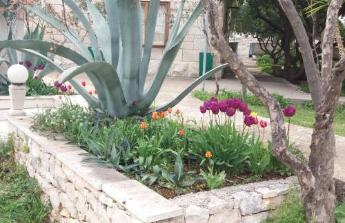 Apartments Franka - Photo 2