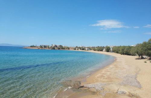 Traditional Arch House Paros - Photo 39