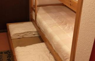 Studio coin montagne à Auris en Oisans avec vue magnifique - Foto 31