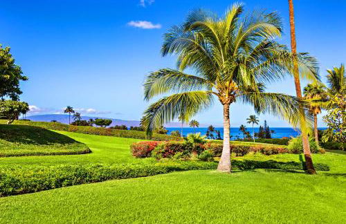 Kaanapali Plantation 54 - Photo 33