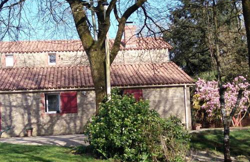 le jouc - Foto 14