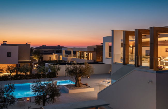 Old Olive VIII - Foto 39