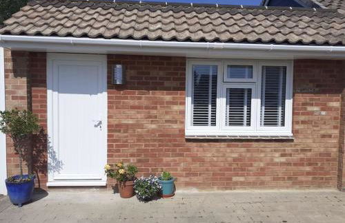 The Studio - Photo 1