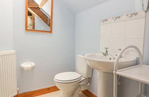 Felin Iago - Foto 19