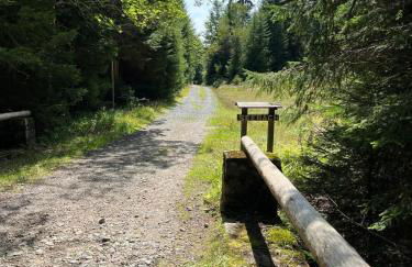 Haus Johanna 2 - Foto 15