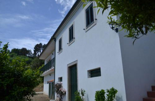 Quinta do Santo no Douro - Casa T3 - Foto 16