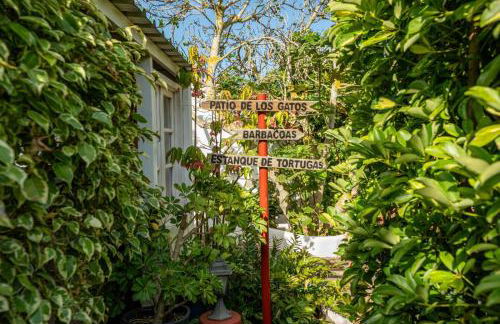 CASA LAZARO, TEGUESTE - Photo 66