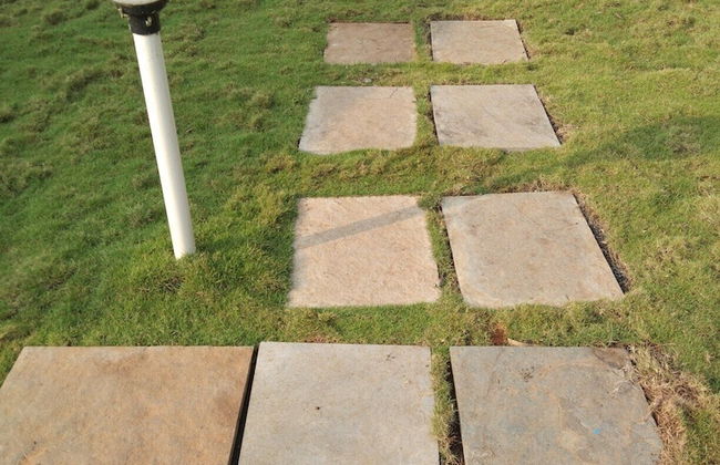 Mesmerising Farm Stay in Chalets Near Mumbai and Pune- Create Memories - Foto 17