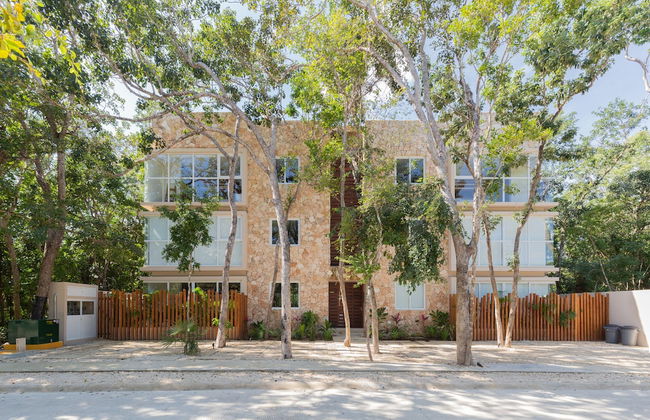 Lumina at Mareah Tulum - Photo 54