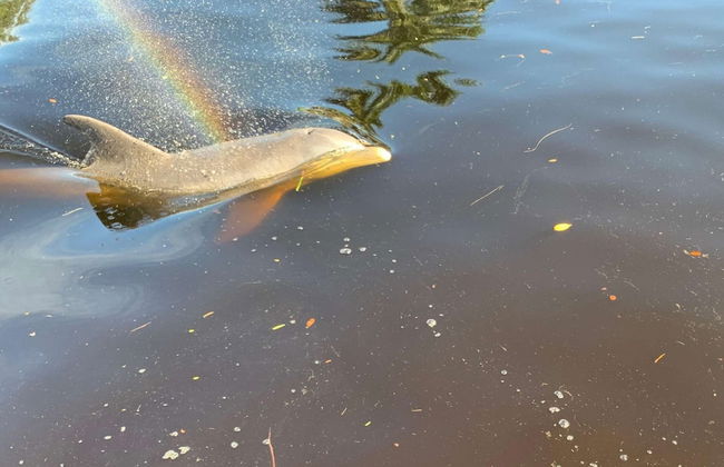 4836/4838 Esplanade St B-pool - Photo 19