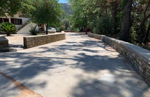 Despina Studios Raxes Ikaria # 1 - Foto 10