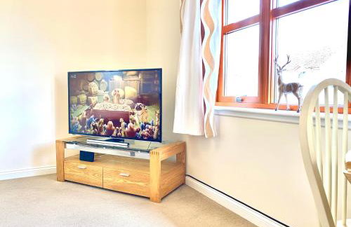 100 Thornhill Drive, Elgin - Photo 7