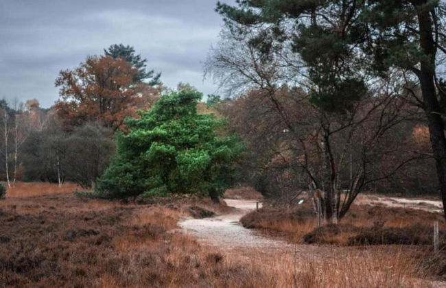 Lovely Holiday Home in Kattendijke Near Centre - Foto 59