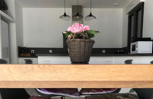 Villa l'art de fer - Foto 25